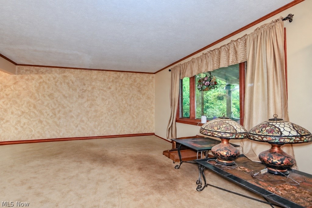 7370 Ledgewood Drive Kirtland OH 44094