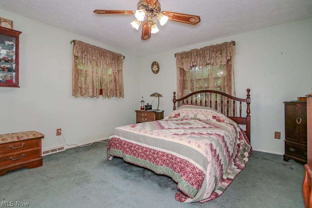 7370 Ledgewood Drive Kirtland OH 44094