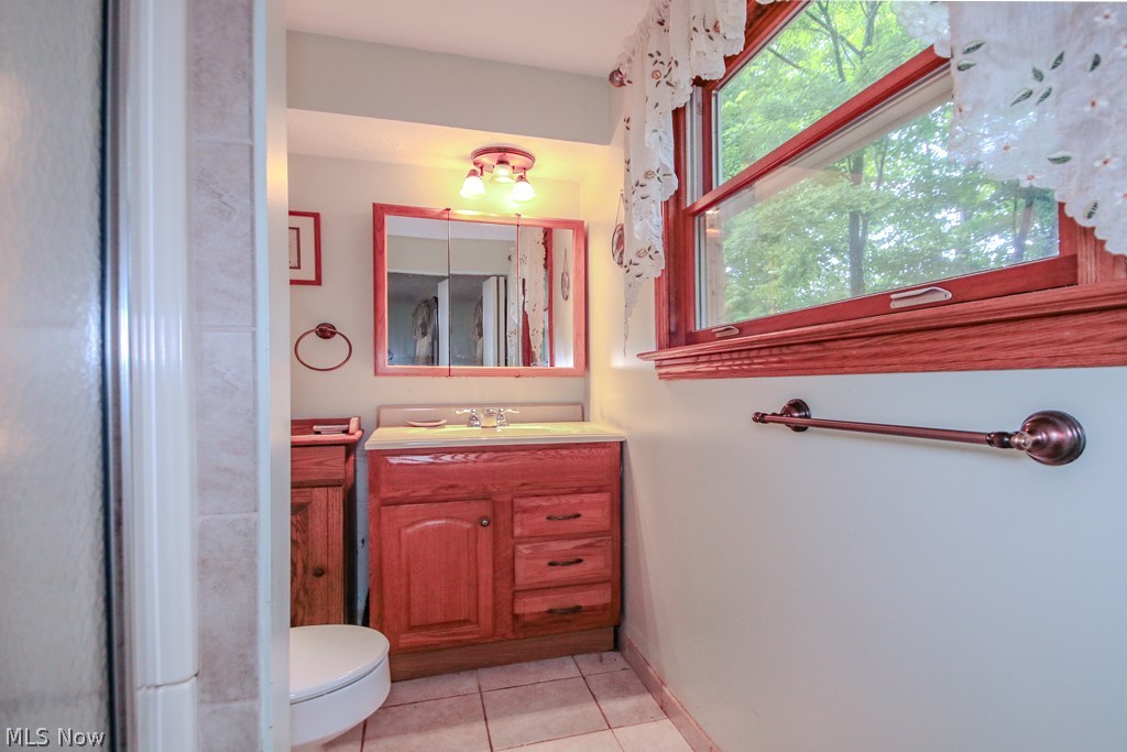 7370 Ledgewood Drive Kirtland OH 44094