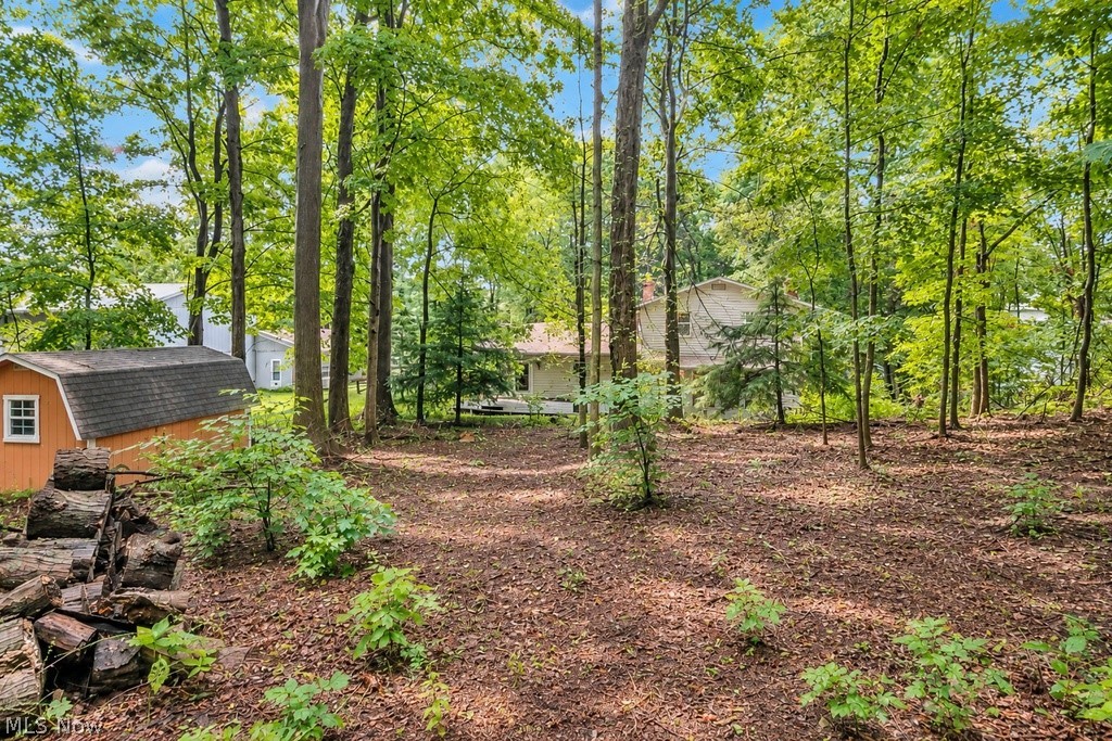 7370 Ledgewood Drive Kirtland OH 44094