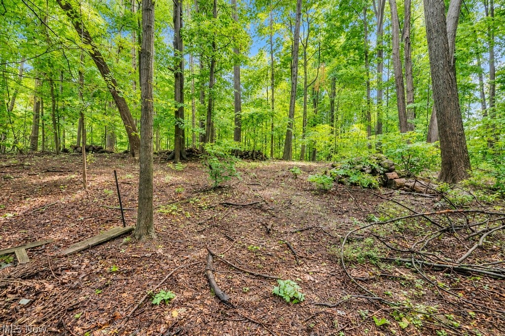7370 Ledgewood Drive Kirtland OH 44094