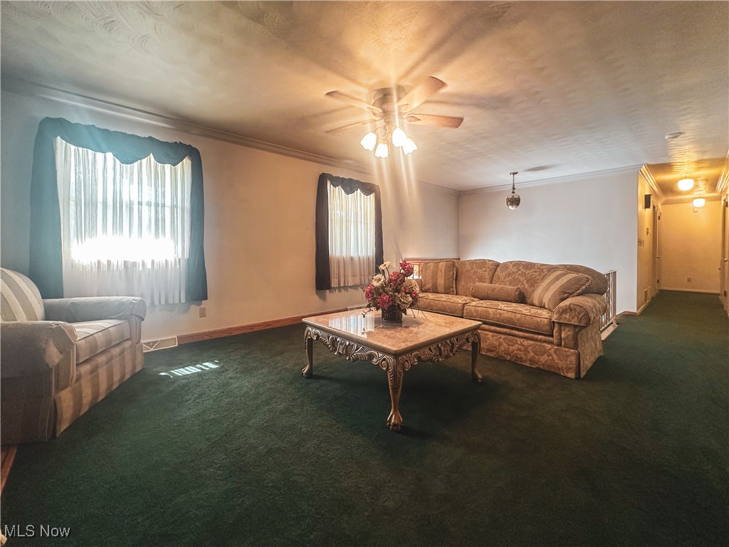 4875 Cadwallader Sonk Road Vienna OH 44473