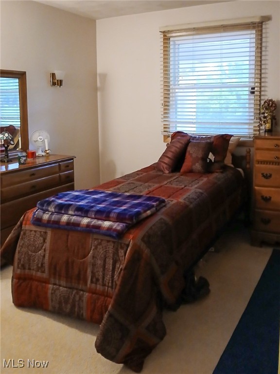 4875 Cadwallader Sonk Road Vienna OH 44473