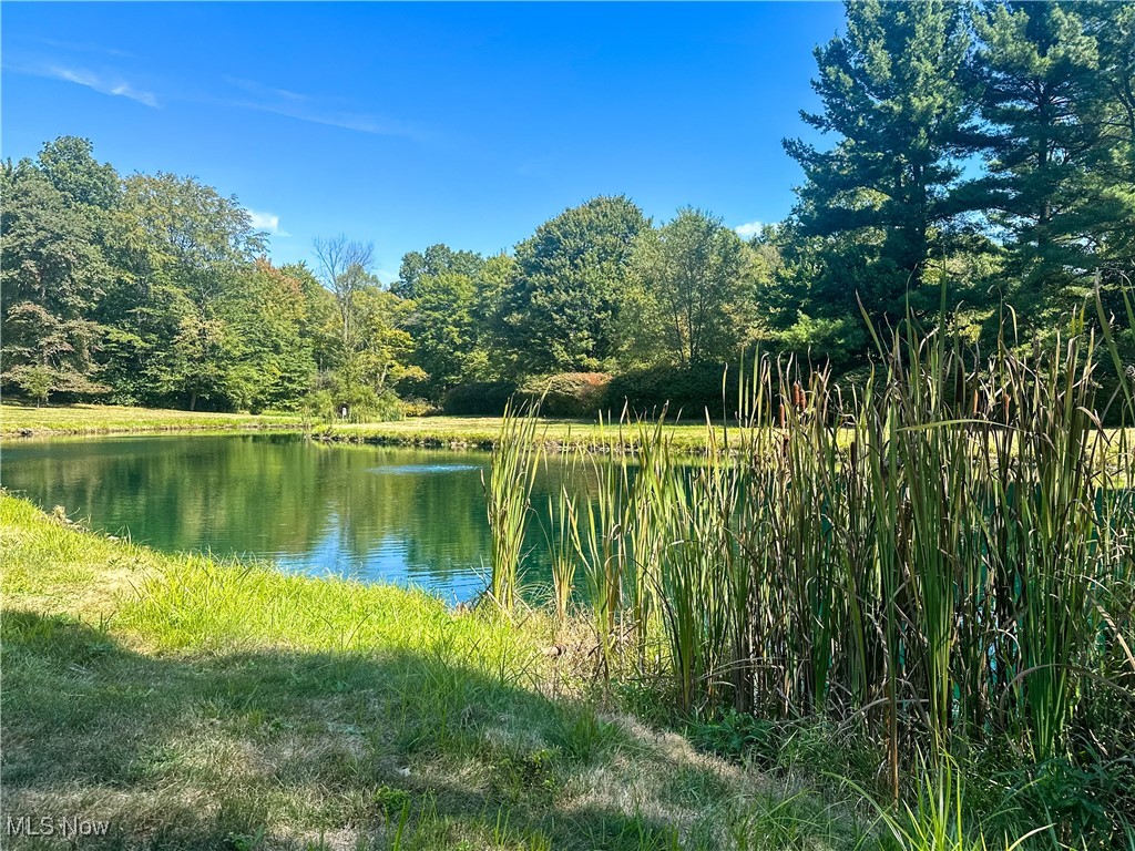 4875 Cadwallader Sonk Road Vienna OH 44473
