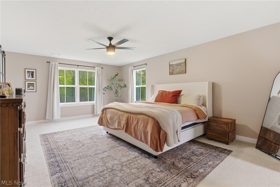 11121 Magnolia Road Columbia Station OH 44028