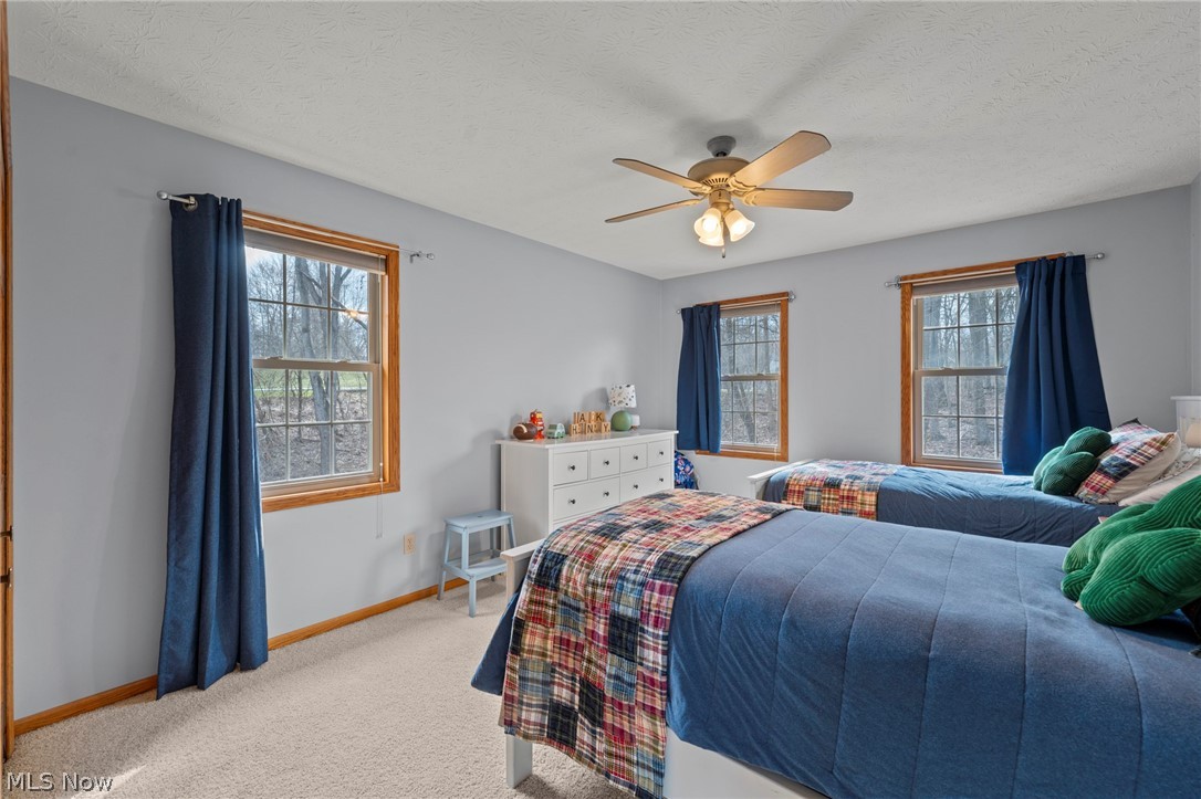 10560 Auburndale Road Chagrin Falls OH 44023