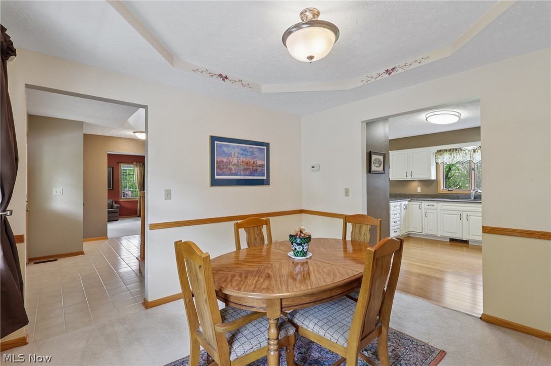 255 Gloucester Drive Medina OH 44256