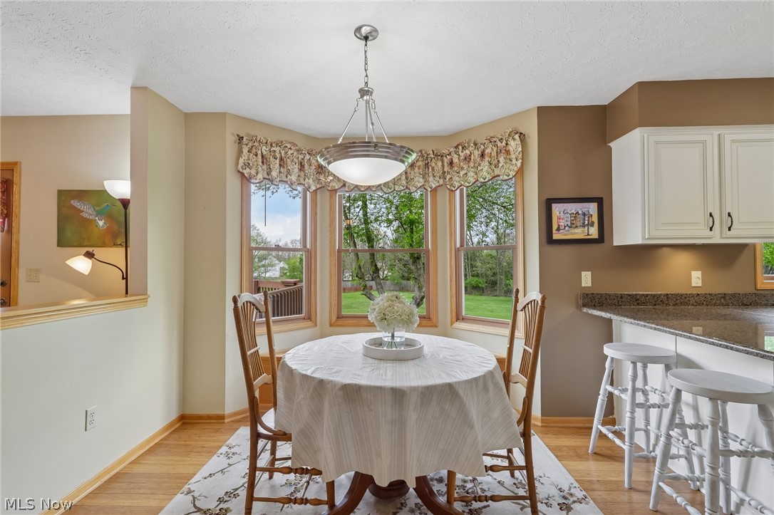 255 Gloucester Drive Medina OH 44256