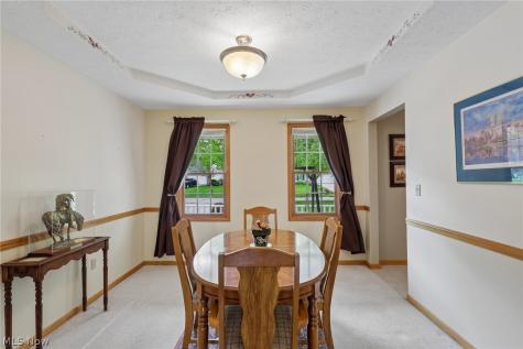 255 Gloucester Drive Medina OH 44256