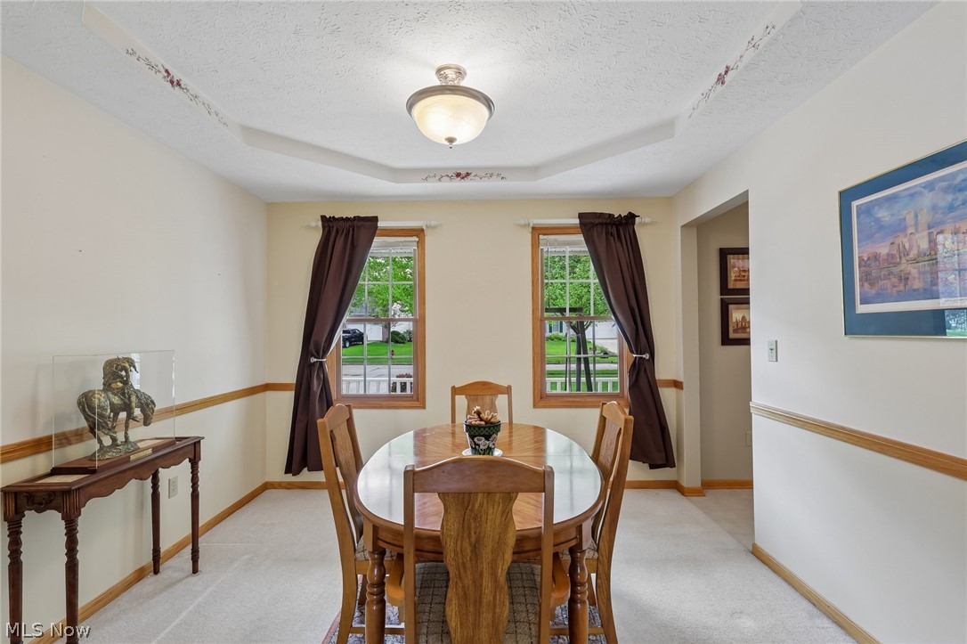 255 Gloucester Drive Medina OH 44256