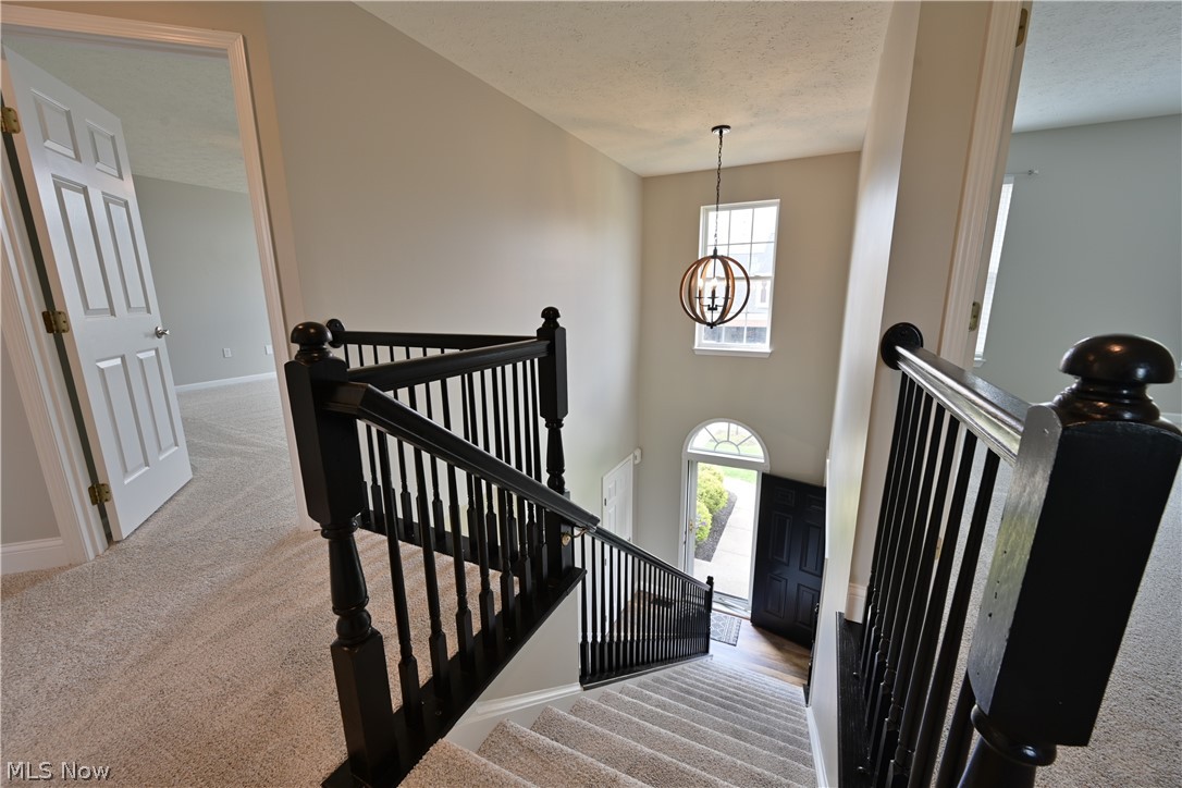 805 Horseshoe Way Avon Lake OH 44012