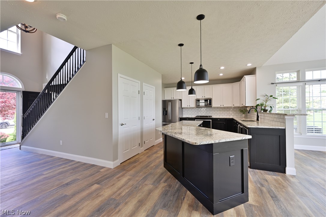805 Horseshoe Way Avon Lake OH 44012