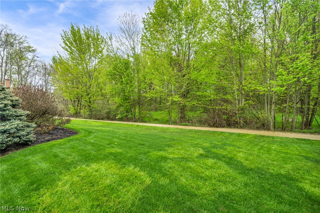 525 Caledonia Drive Wadsworth OH 44281