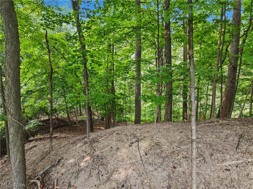 10385 King Coe Lane Strongsville OH 44149