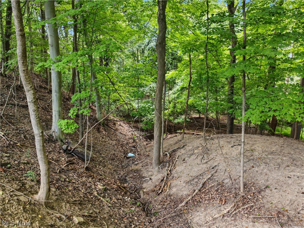 10385 King Coe Lane Strongsville OH 44149