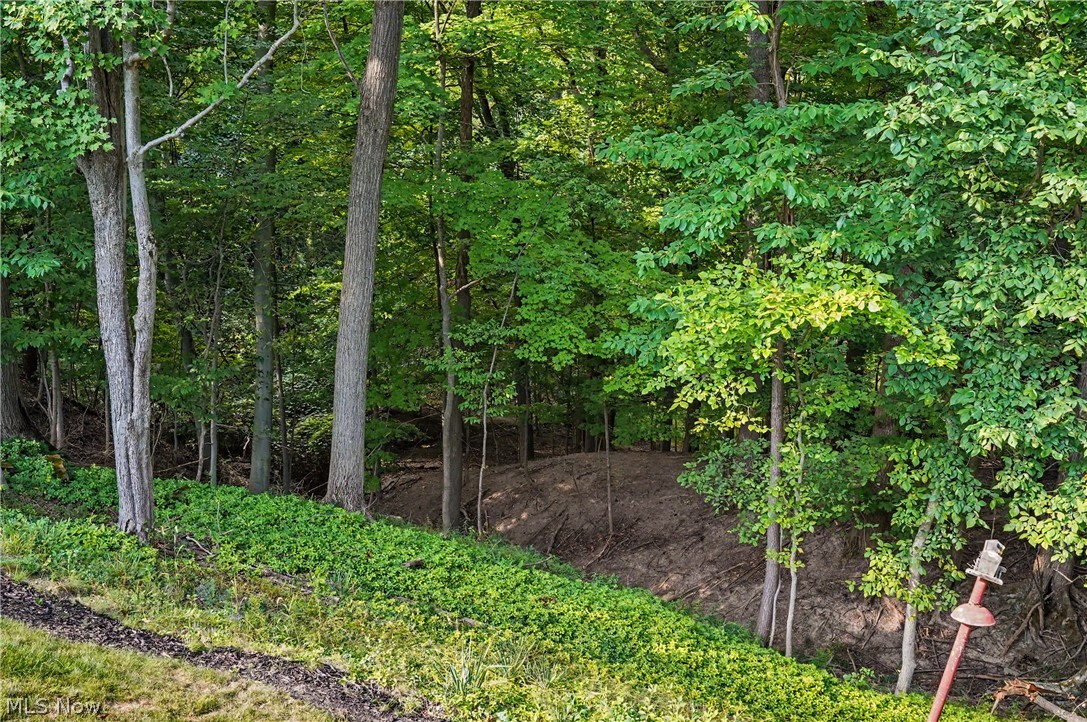 10385 King Coe Lane Strongsville OH 44149