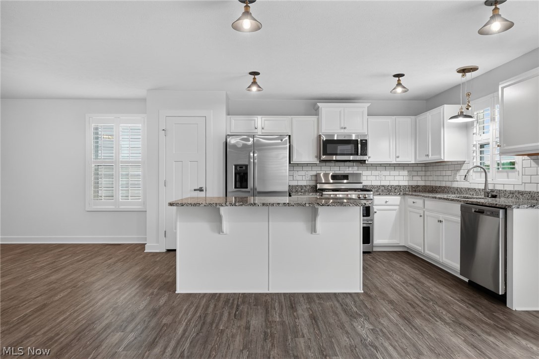 3890 Red Creek Court Perry OH 44081