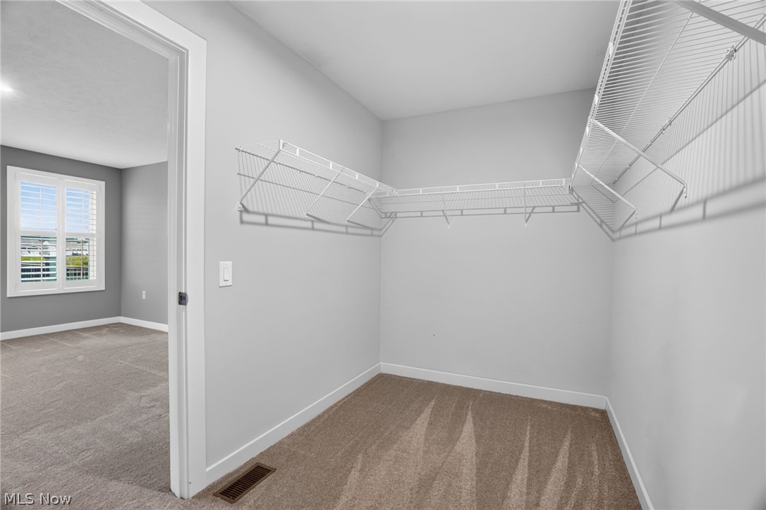 3890 Red Creek Court Perry OH 44081