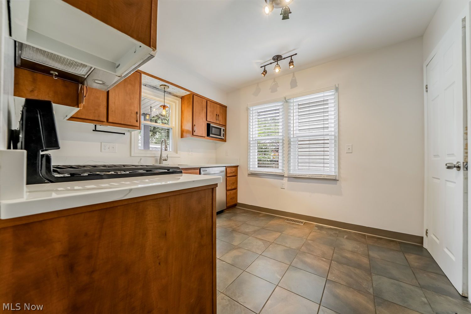1228 Hall Avenue Lakewood OH 44107
