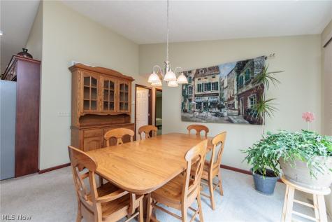 3671 Dornoch Drive Wooster OH 44691