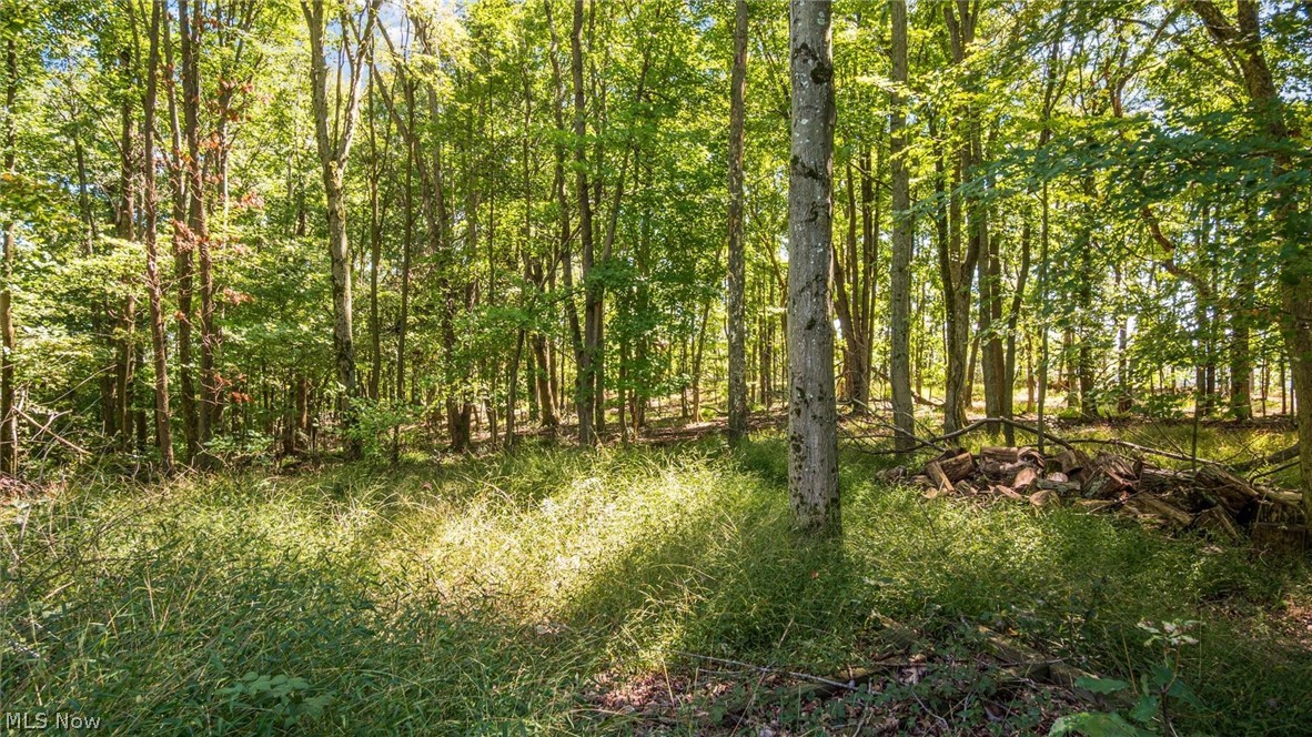 2038 Oldtown Valley Road SE New Philadelphia OH 44663
