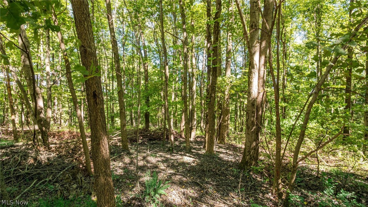 2038 Oldtown Valley Road SE New Philadelphia OH 44663