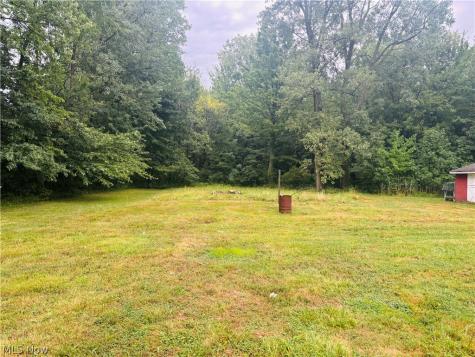 57 Park Road Painesville OH 44077