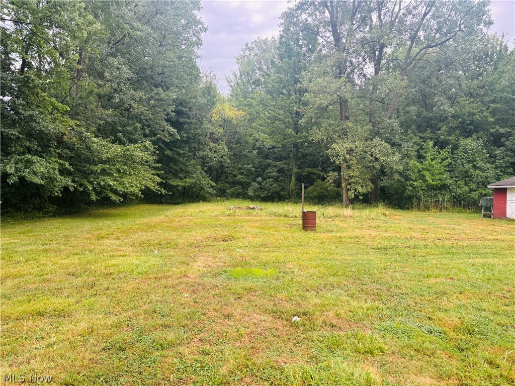 57 Park Road Painesville OH 44077