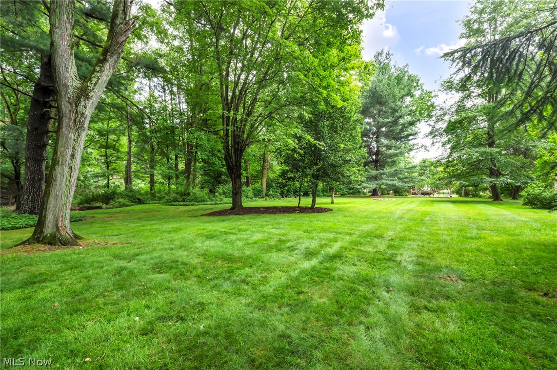10906 Fitzwater Road Brecksville OH 44141