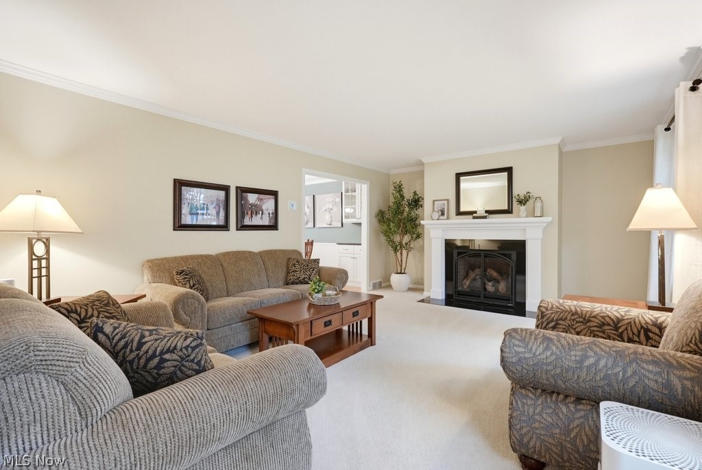 33445 Coachman Lane Solon OH 44139