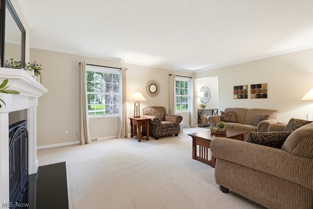 33445 Coachman Lane Solon OH 44139
