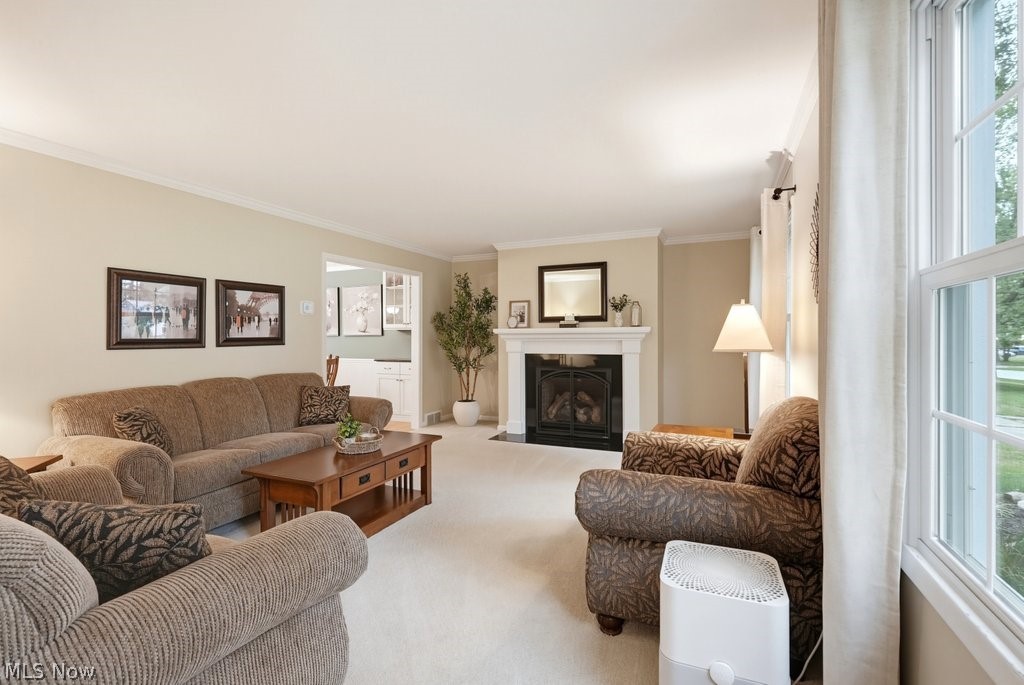 33445 Coachman Lane Solon OH 44139
