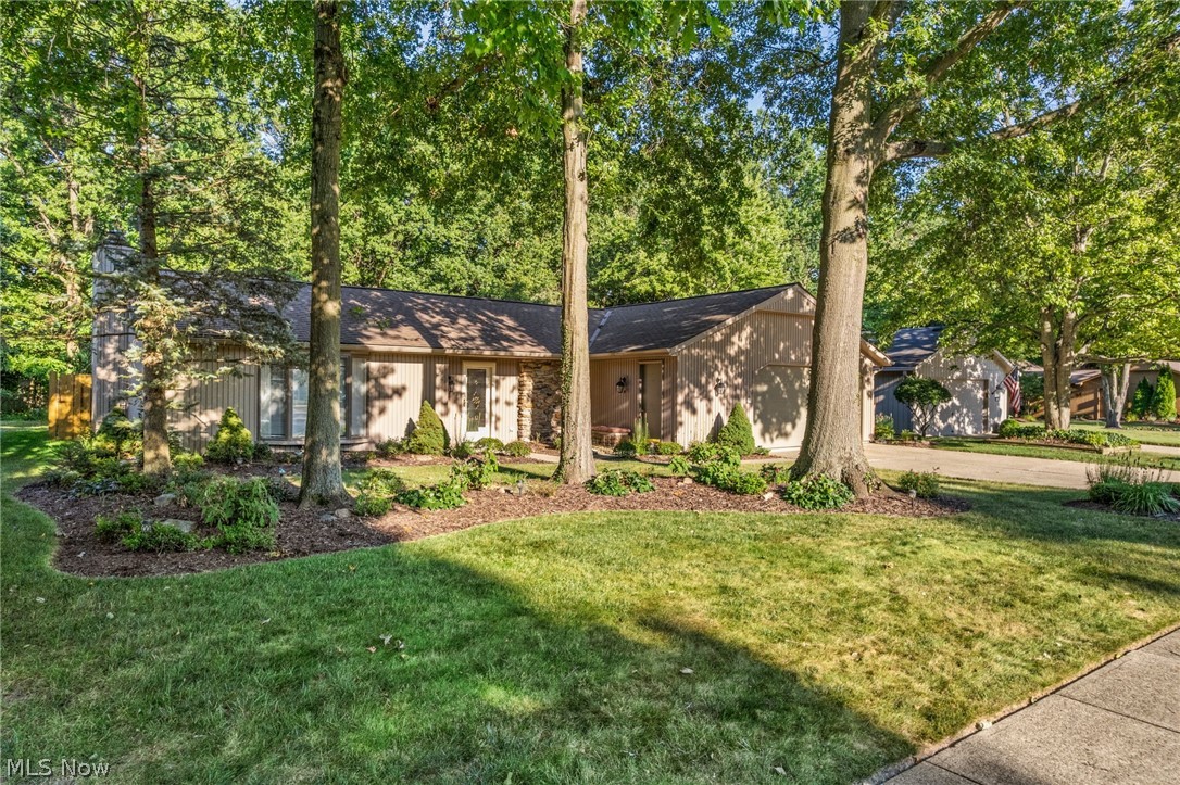 9249 Barton Drive Strongsville OH 44149
