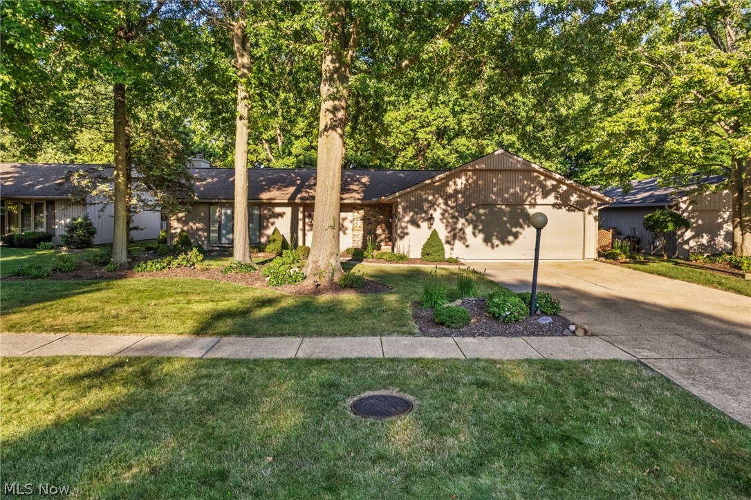 9249 Barton Drive Strongsville OH 44149