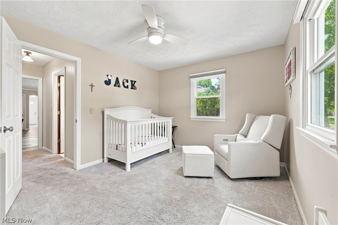 6668 Bristlewood Drive Boardman OH 44512