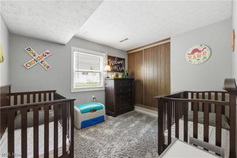 488 Woodlake Drive Medina OH 44256