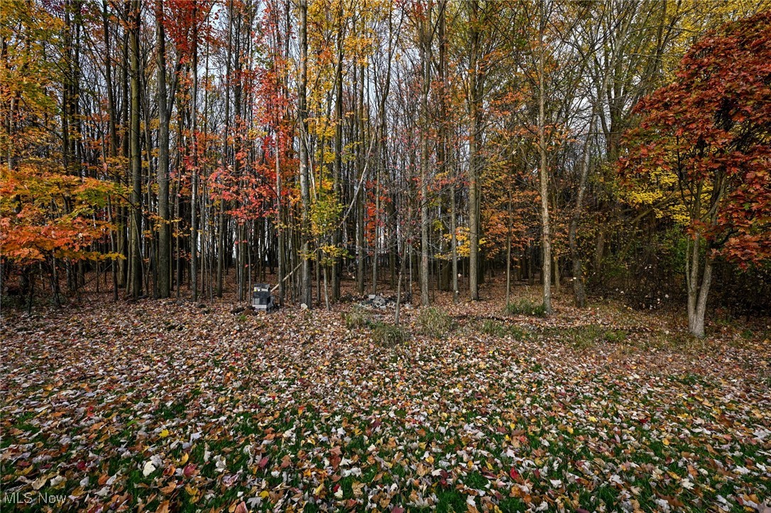 955 Norwegian Wood Drive Medina OH 44256