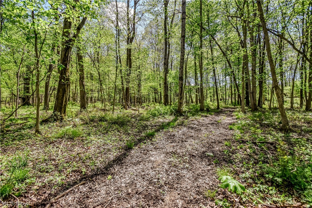 11376 Ridgeway Road Kensington OH 44427