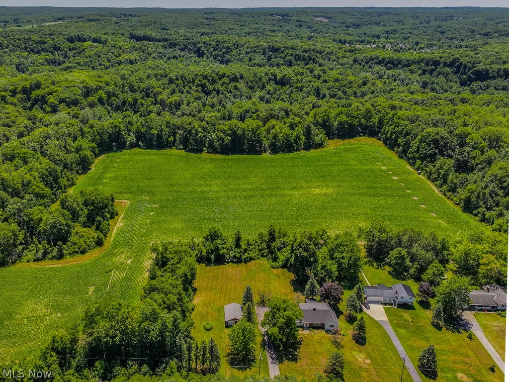 12066 Huntoon Road Painesville OH 44077