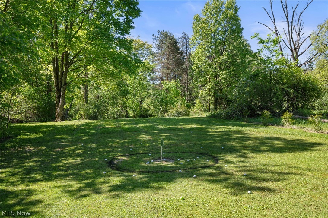 11341 Willow Hill Drive Chesterland OH 44026