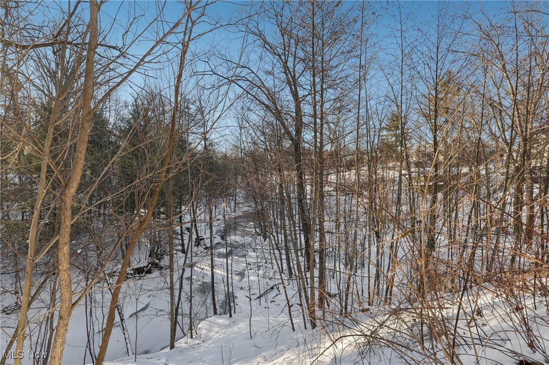 2 Creek Ridge Rocky River OH 44116