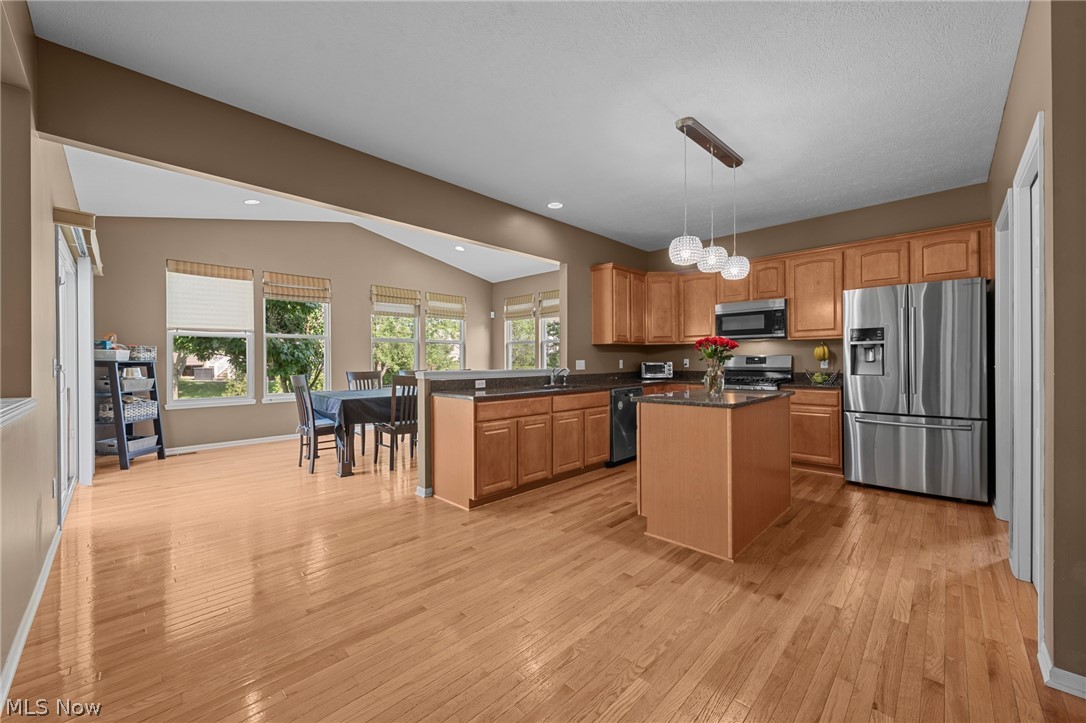 473 Wilmington Drive Broadview Heights OH 44147