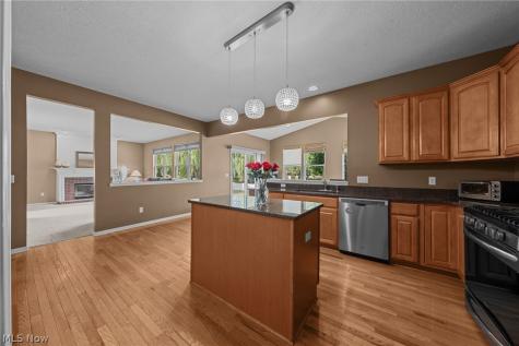 473 Wilmington Drive Broadview Heights OH 44147