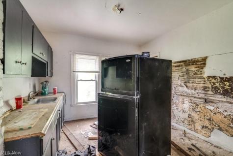 1140 E 113th Street Cleveland OH 44108