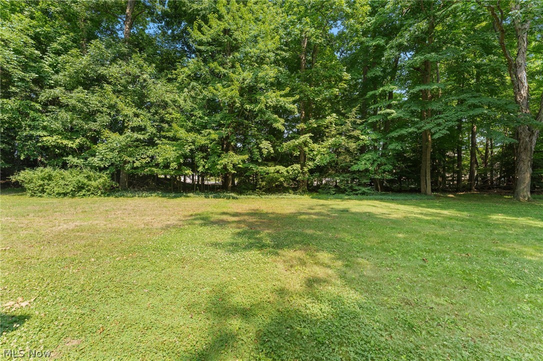 981 Worton Park Drive Mayfield Village OH 44143