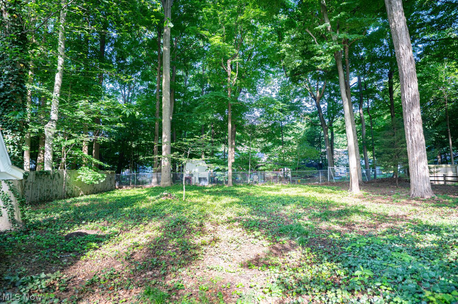 5914 S Shandle Boulevard Mentor OH 44060