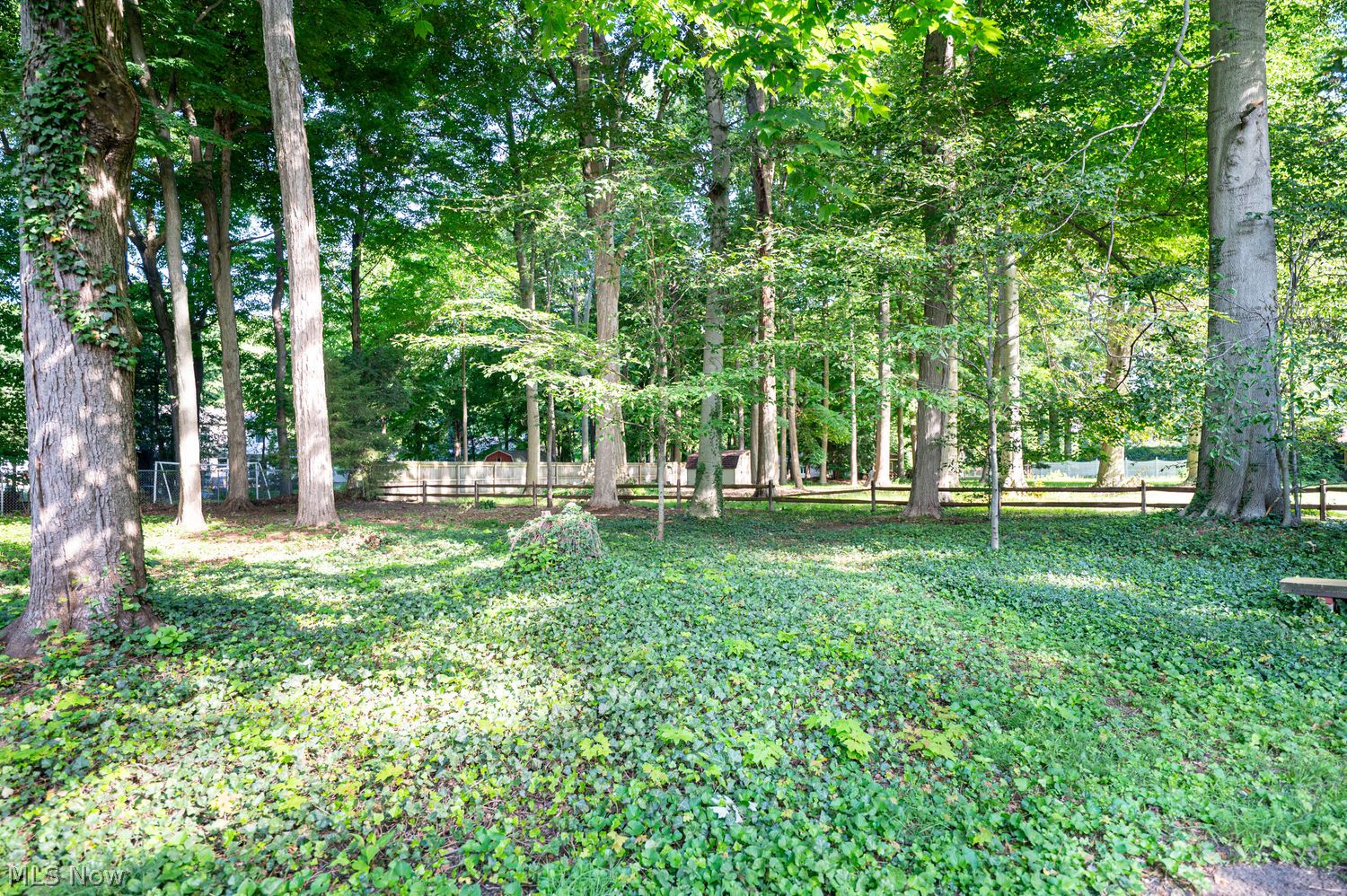 5914 S Shandle Boulevard Mentor OH 44060