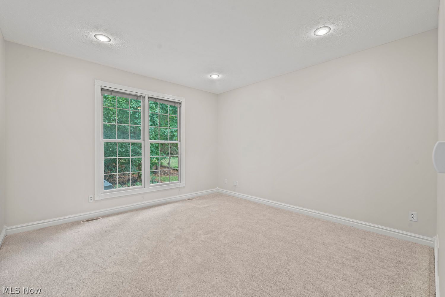 17461 Lakesedge Trail Chagrin Falls OH 44023