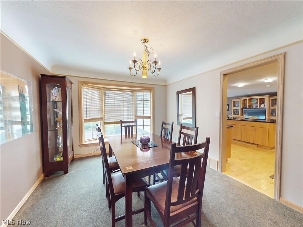 7885 Pear Tree Drive Chesterland OH 44026