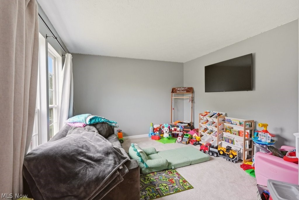 1223 Tinkers Green Drive Streetsboro OH 44241